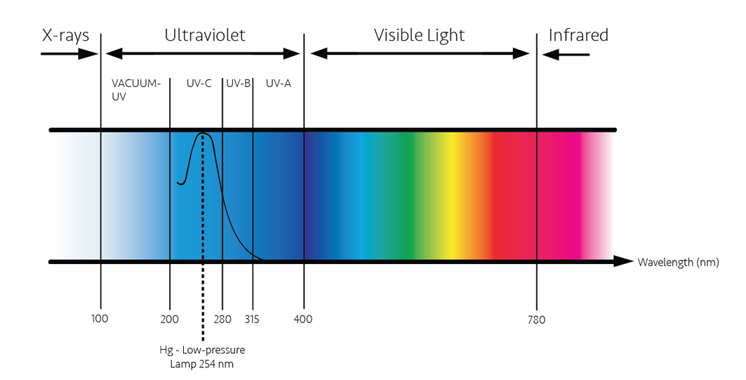 UV Testing